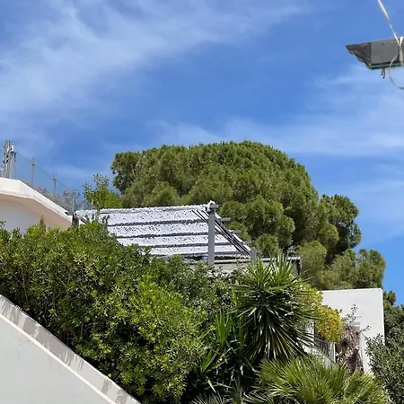 La Des Cycas Villa *