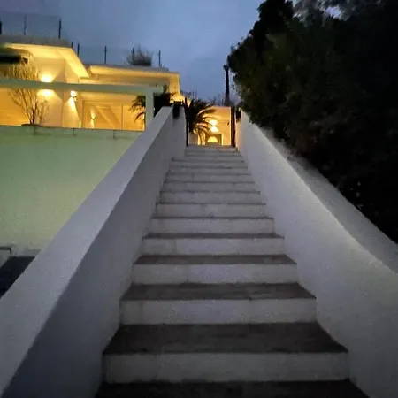 La Des Cycas Πόρτο Βέκιο