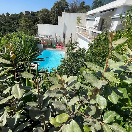 Βίλα La Des Cycas Πόρτο Βέκιο
