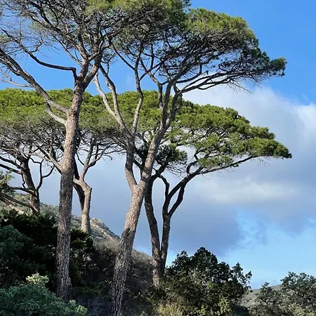 Βίλα La Des Cycas *
